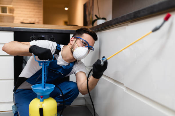 Best Wildlife Control Services  in Douglas, AL
