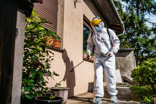 Best Pest Control Near Me  in Douglas, AL