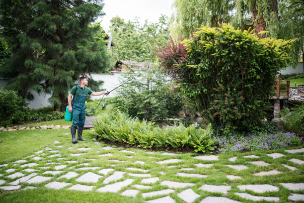Best Local Pest Control Services  in Douglas, AL