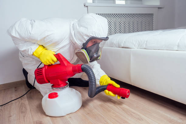 Best Affordable Pest Control Services  in Douglas, AL