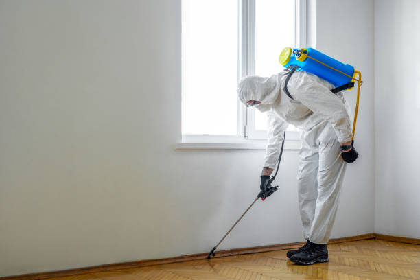 Best Local Pest Control Services  in Douglas, AL
