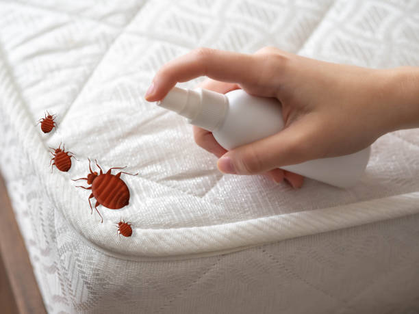Insect Control in Douglas, AL
