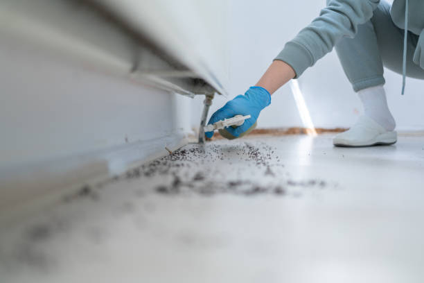 Reliable Douglas, AL Pest Control Solutions