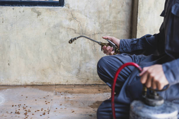 Best Affordable Exterminators  in Douglas, AL